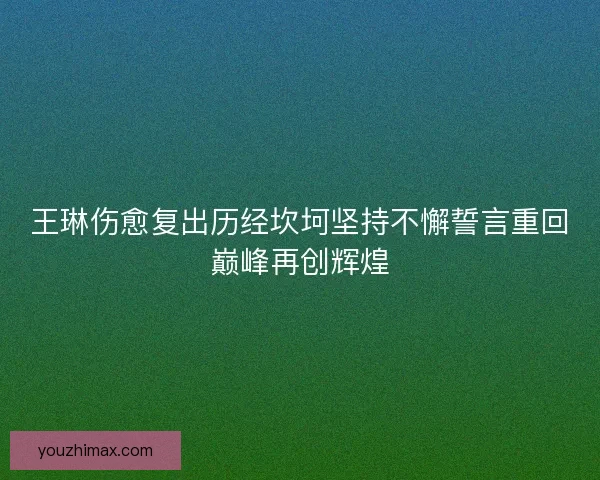 王琳伤愈复出历经坎坷坚持不懈誓言重回巅峰再创辉煌