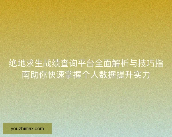 绝地求生战绩查询平台全面解析与技巧指南助你快速掌握个人数据提升实力